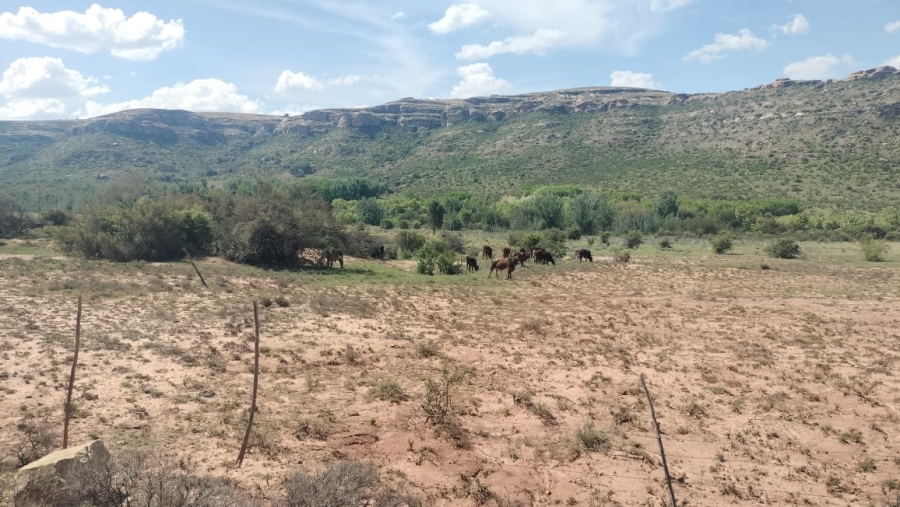 2 Bedroom Property for Sale in Ladybrand Free State